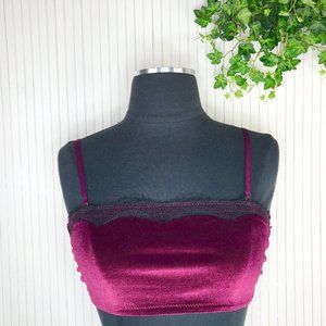 NWOT Jason Wu Velvet Brandeau Bralette